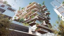 Edifícios novos terão de ser 50% de madeira em França