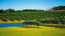 Os desafios e as oportunidades da gestão da água em Portugal
