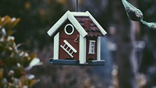 Matosinhos vai apresentar sete novas Áreas de Reabilitação Urbana