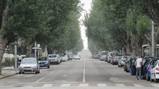 Avenida 25 de Abril em Aveiro entra em obras de 1,3ME