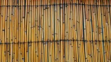 O bambu, um material de construção sustentável