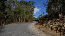 Barcelos anuncia início da requalificação da Estrada Municipal 505