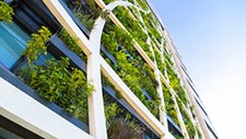 Coimbra vai apresentar práticas para cidades mais sustentáveis
