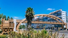 Empresa quer impulsionar a construção de pontes de madeira