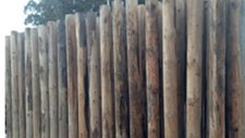 O ensino na área da acústica de edifícios e ambiental em Portugal