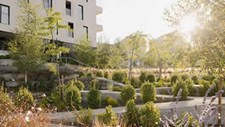Estratégia urbanística quer adaptar Lisboa às alterações climáticas