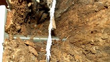 As Estruturas de Madeira e a Reabilitação de edifícios antigos