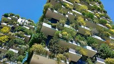 New European Bauhaus - Arquitetura em transição: rumo à inteligência coletiva na construção