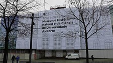 Novo concurso para obras no Museu de História Natural