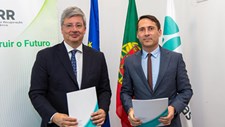 Obra para duplicar faixas do IP8 no litoral alentejano vai custar 45ME