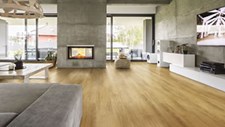 Pavimentos à base de cortiça lançados na Domotex