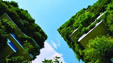 Primeira edição da conferência Eco-Cidades realiza-se em dezembro