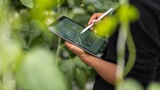 valantic e Smartapp.com iniciam parceria