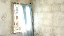 Webinar sobre anomalias devidas à humidade e salubridade em edifícios