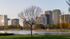WorldGBC lança ferramenta sobre NDC para edifícios mais sustentáveis