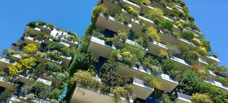 Arquitetura em transição: inteligência coletiva na construção
